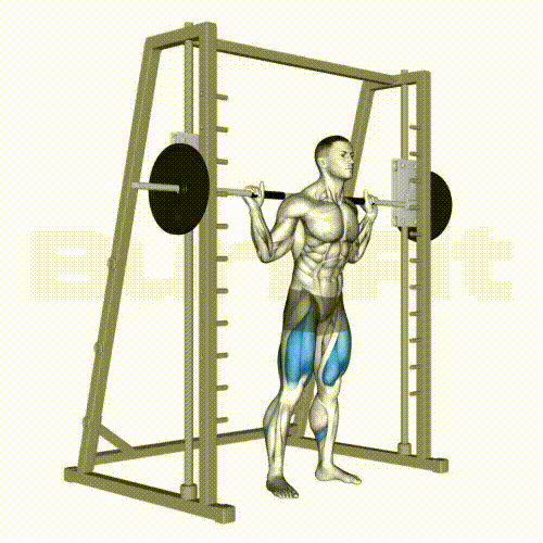 Smith Machine Squat